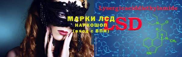 apvp Новозыбков