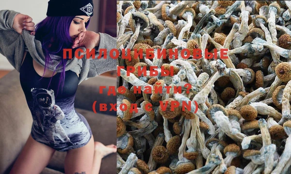 ALPHA PVP Новодвинск