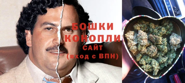 ALPHA PVP Новодвинск