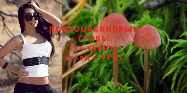 apvp Новозыбков